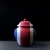 Back to the Future - Vase 9, Red White Blue Series