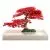 Maple Tree Red