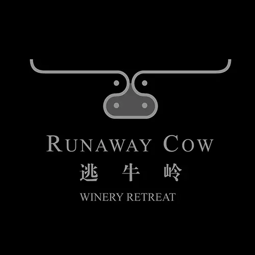 Runaway Cow