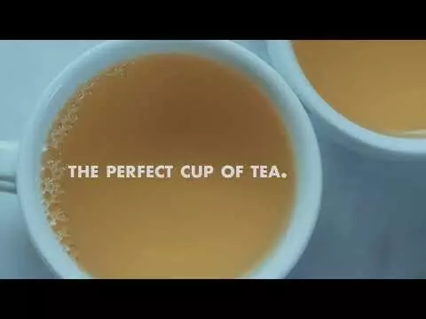 Behind the Scenes of Basao Tea